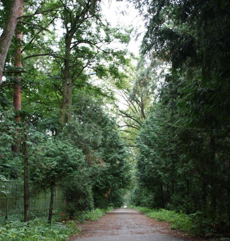 Ворзель з panoramio.com - Ворзель