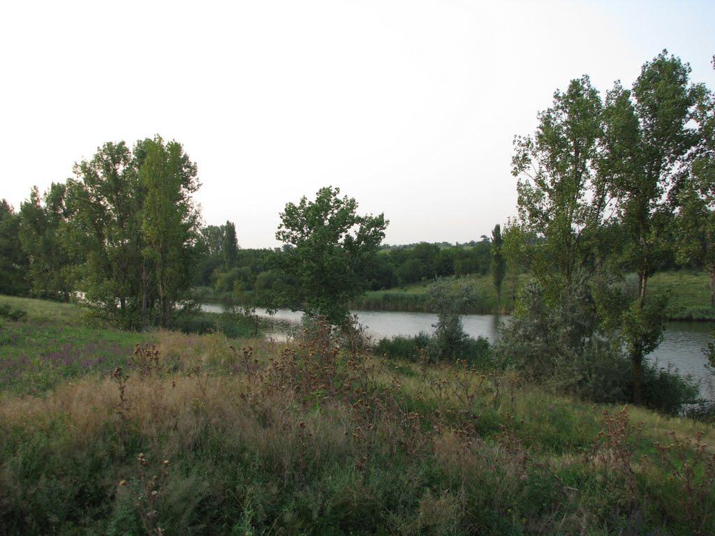 Олександрівка з panoramio.com - Александровка