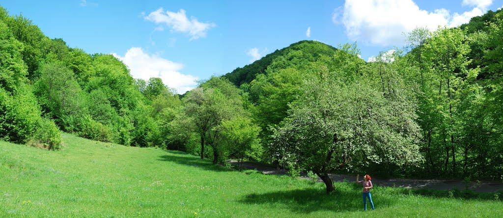 Чорноголова з panoramio.com - Черноголова