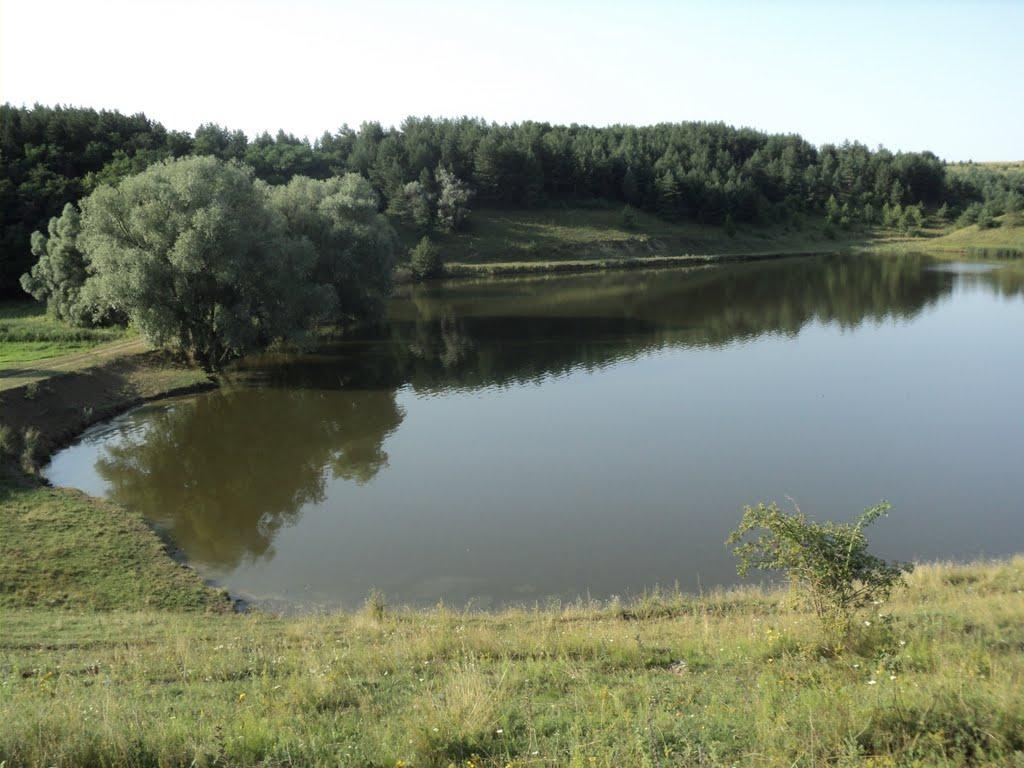 Осоївка з panoramio.com - Осоевка