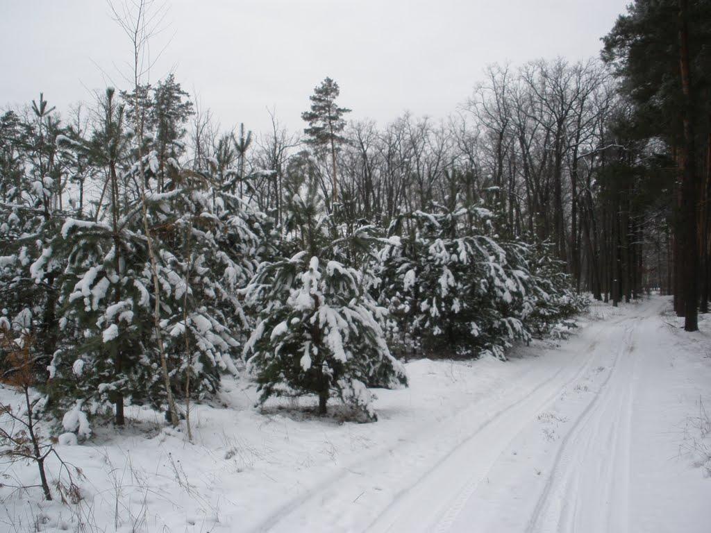 Кам'янка з panoramio.com - Каменка