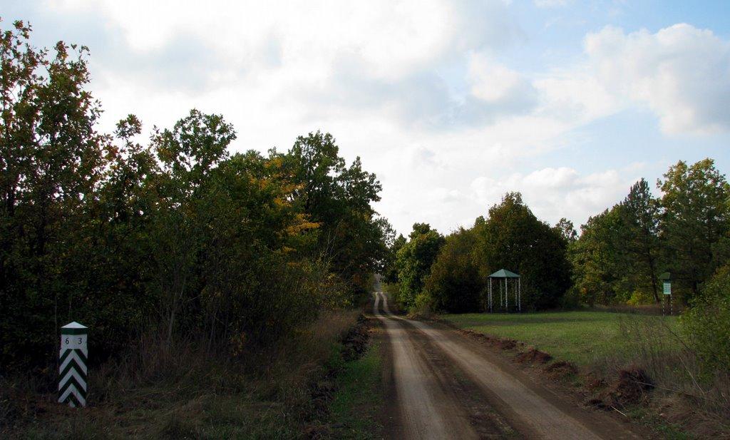 Великий Дальник з panoramio.com