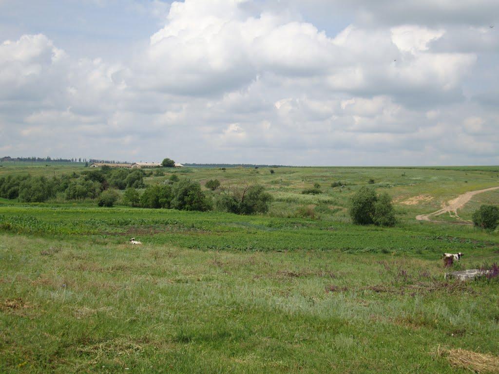 Листвянка з panoramio.com - Листвянка