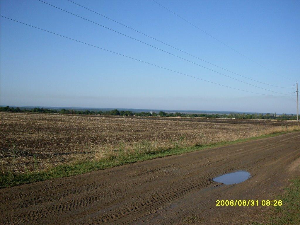 Ладижинські Хутори з panoramio.com - Ладижинські Хутори