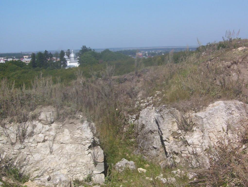 Старий Збараж з panoramio.com - Staryy Zbarazh