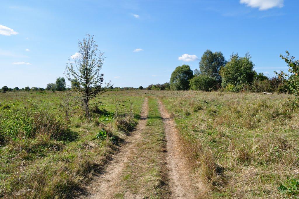 Миси з panoramio.com - Миси