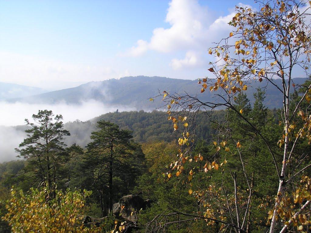 Поляниця з panoramio.com - Поляница