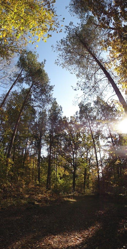 Хрипськ з panoramio.com - Хрипск