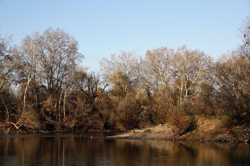 Троїцьке з panoramio.com - Troitske
