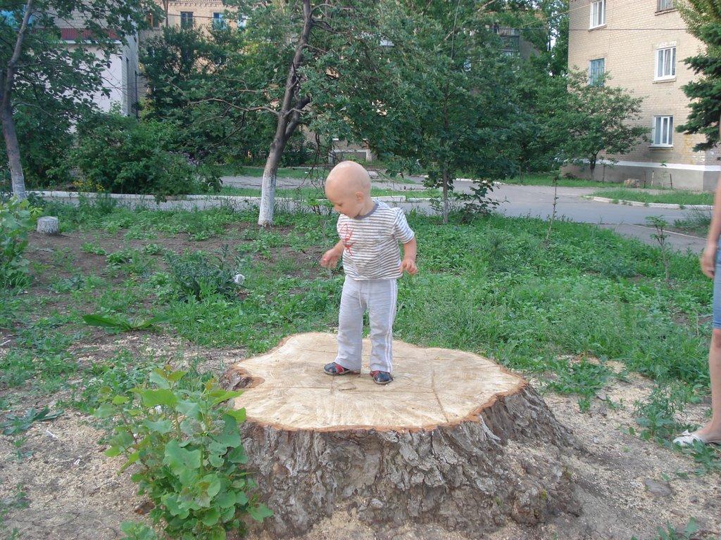 Ровеньки з panoramio.com - Ровеньки