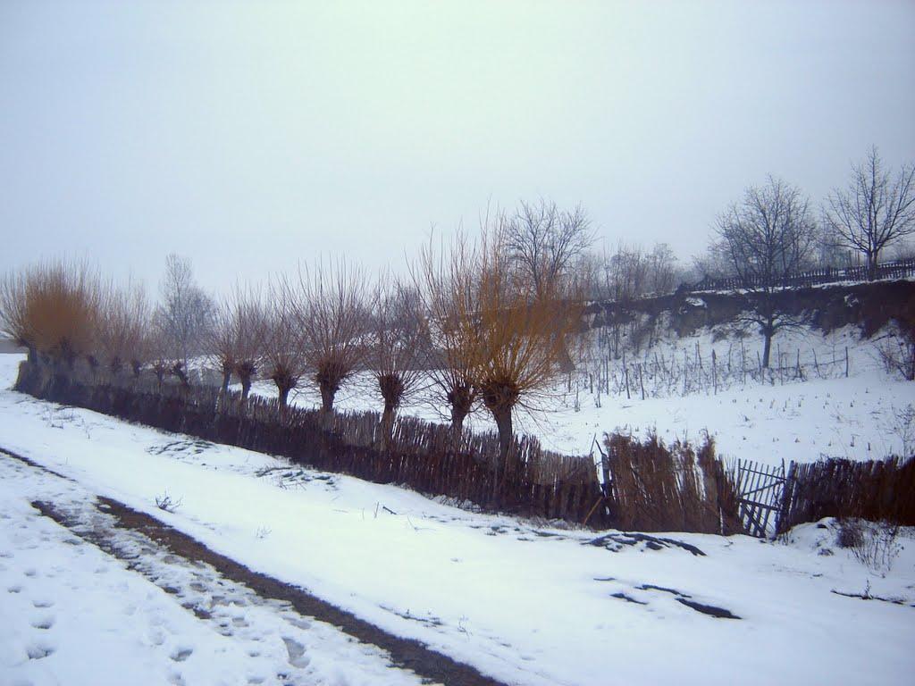 Орлівка з panoramio.com - Orlivka