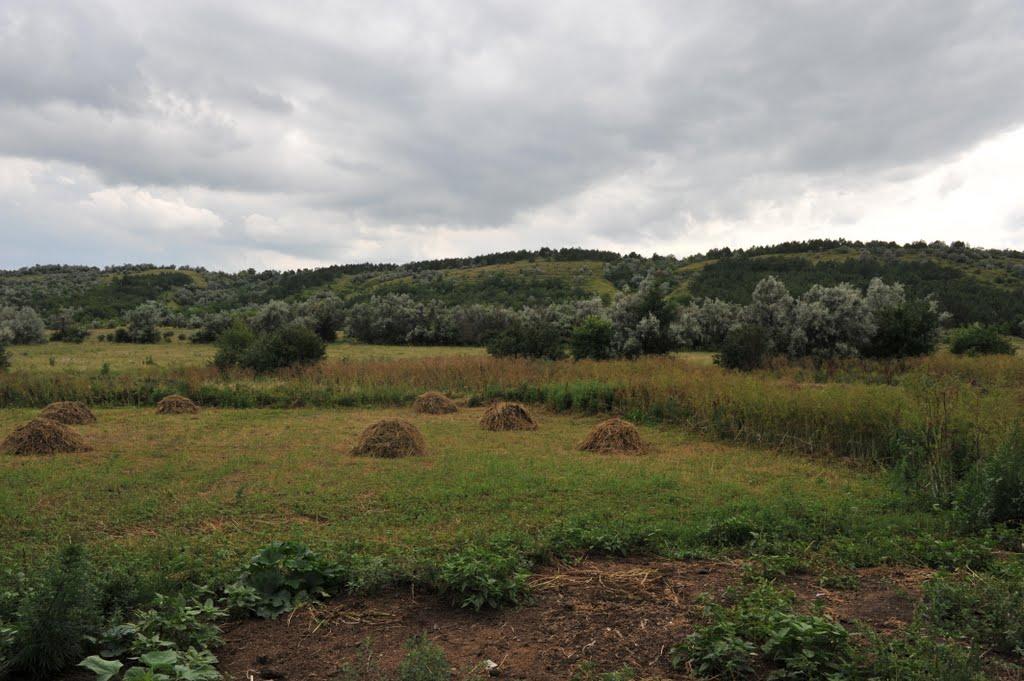 Бецилове з panoramio.com - Бецилово