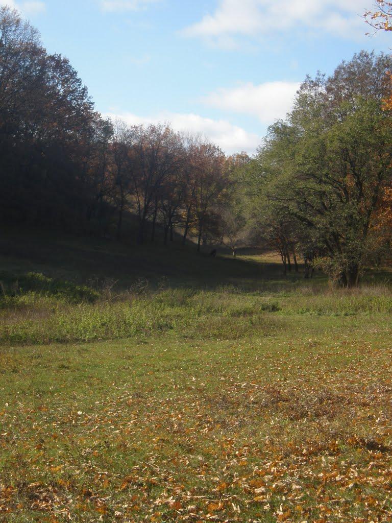 Бабенки з panoramio.com - Бабенки