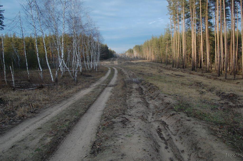 Муратове з panoramio.com - Муратово