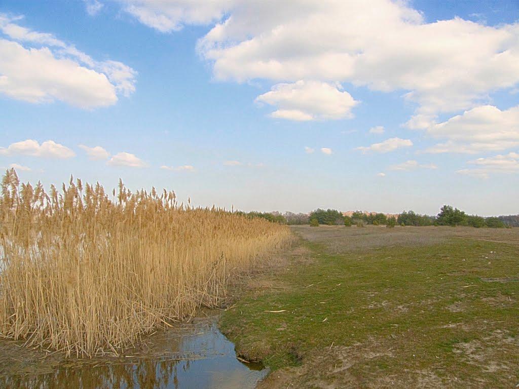 Валуйське з panoramio.com - Валуйское