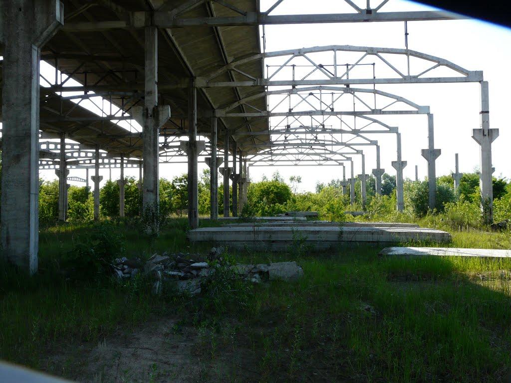 Вітове з panoramio.com - Витово