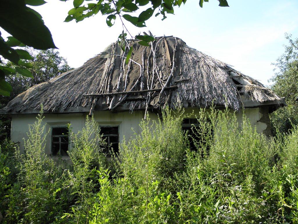 Оріхівщина з panoramio.com - Ореховщина