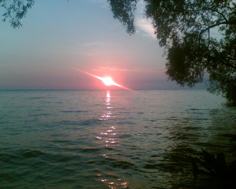 Ровжі з panoramio.com - Ровжи