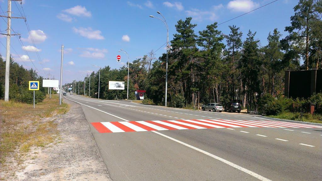 Козин з panoramio.com - Козин