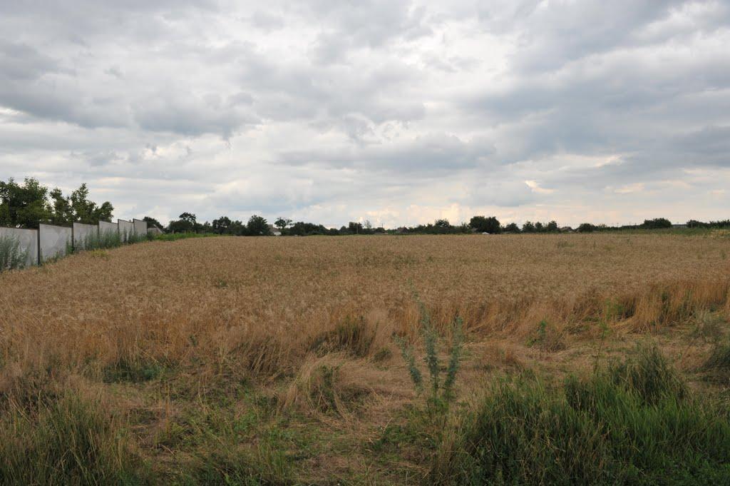 Бецилове з panoramio.com - Бецилово
