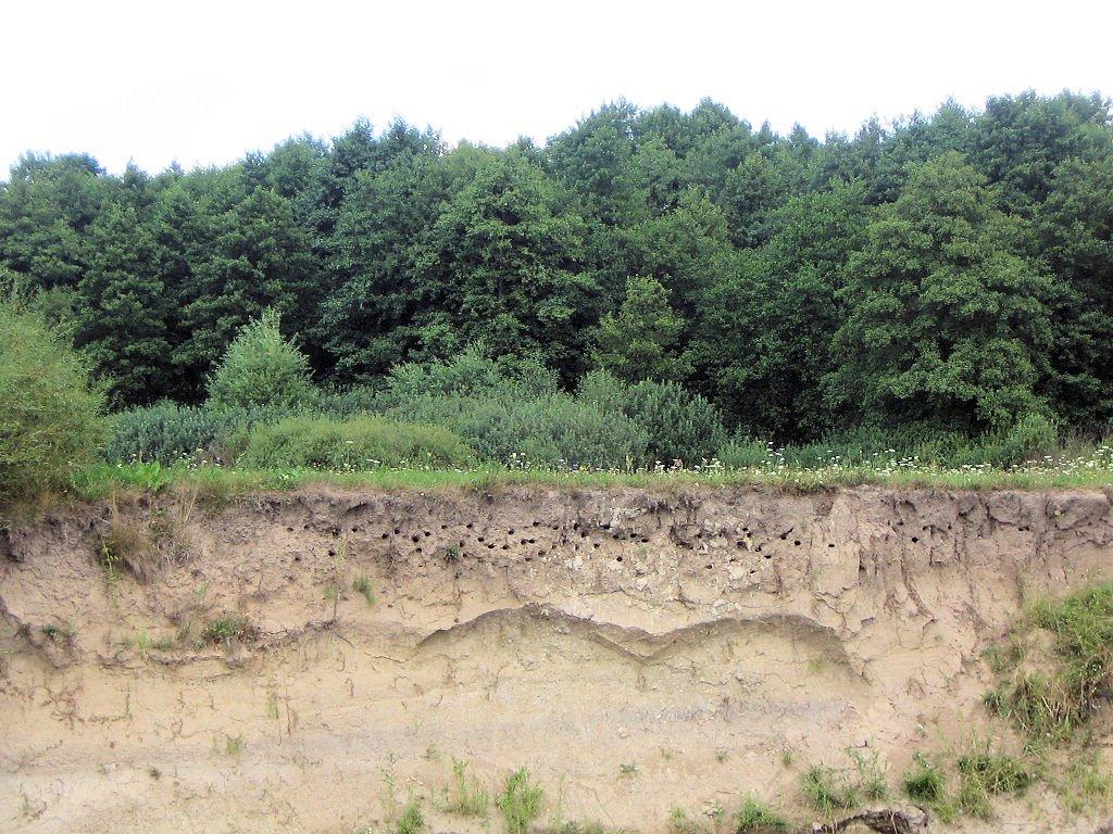 Шубків з panoramio.com - Шубків