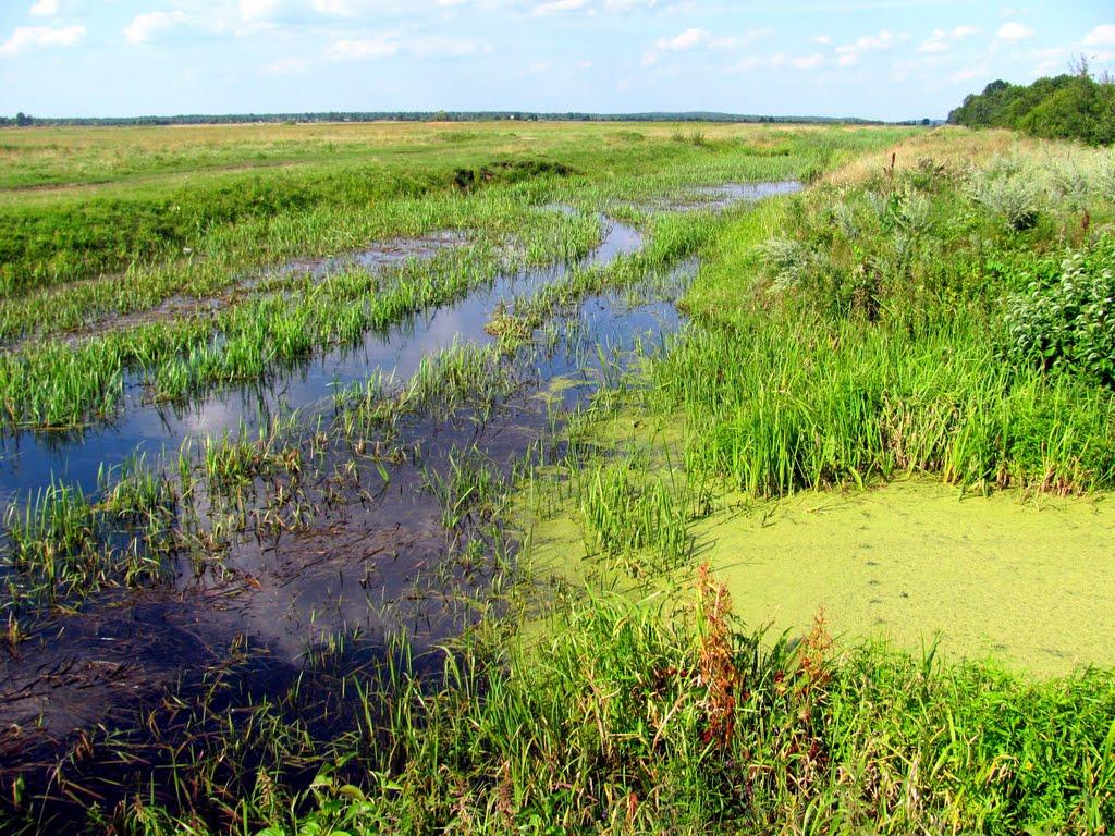 Сопачів з panoramio.com - Сопачів