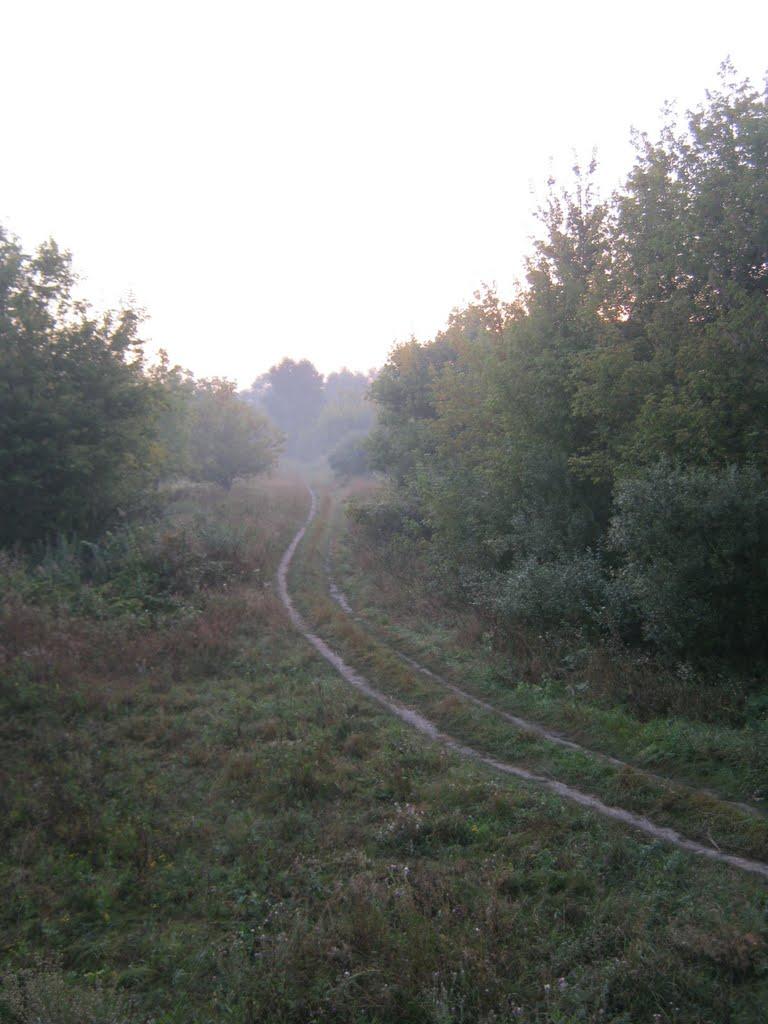 Чепелі з panoramio.com - Чепелі