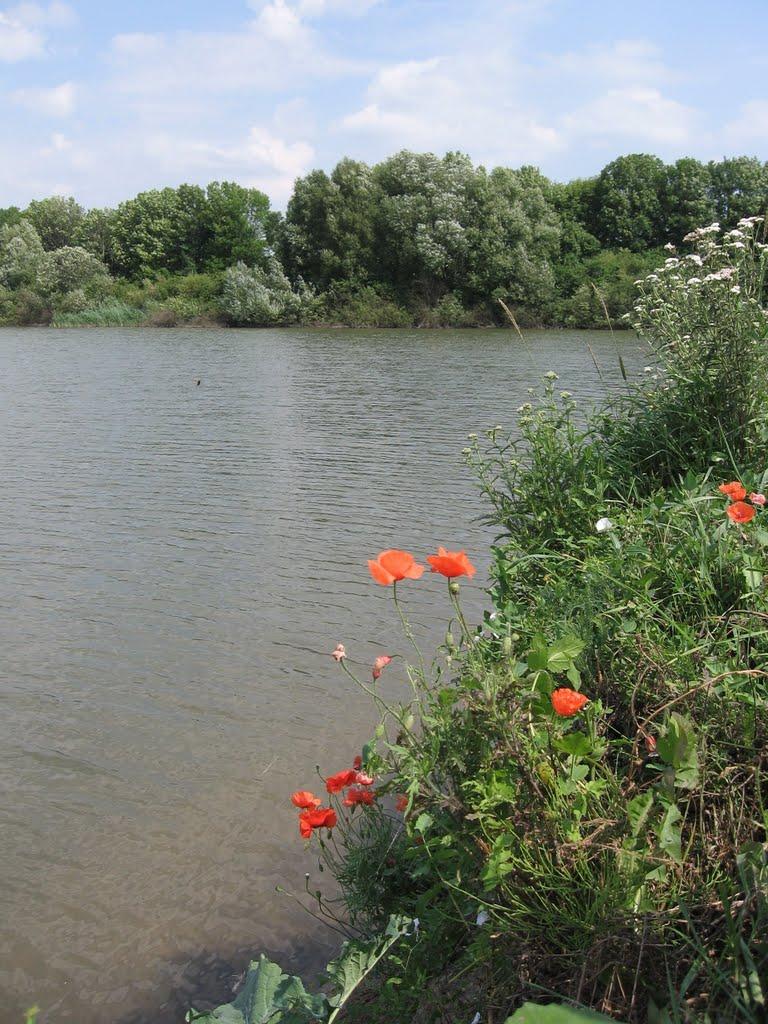 Стара Синява з panoramio.com - Стара Синява