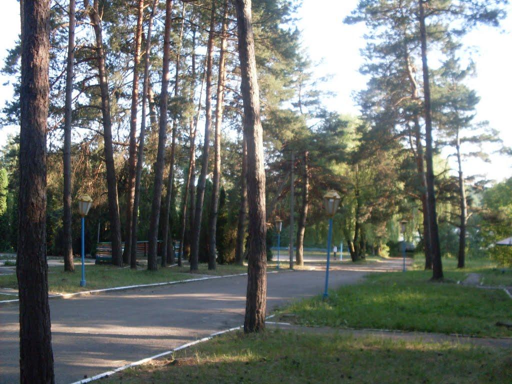 Маньківка з panoramio.com - Маньківка