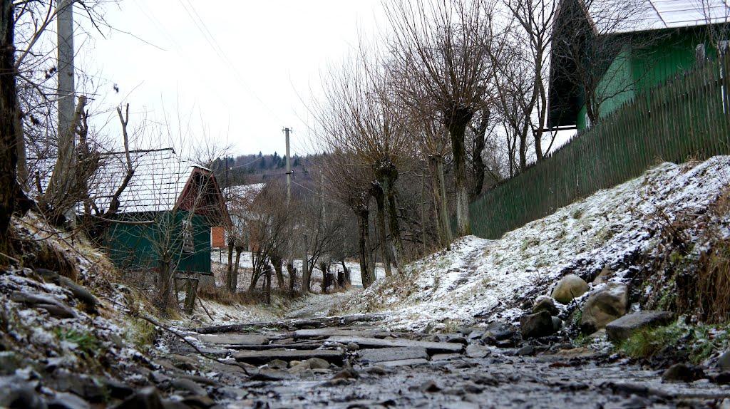 Витвиця з panoramio.com - Витвиця