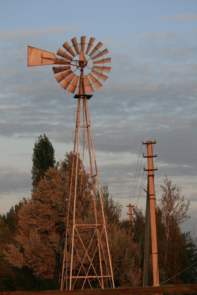 Олексіївка з panoramio.com - Олексіївка