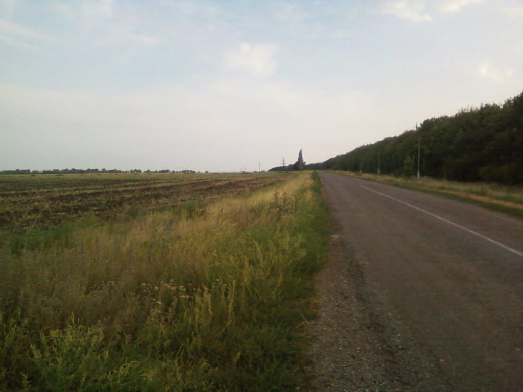 Новомиколаївка з panoramio.com - Новониколаевка