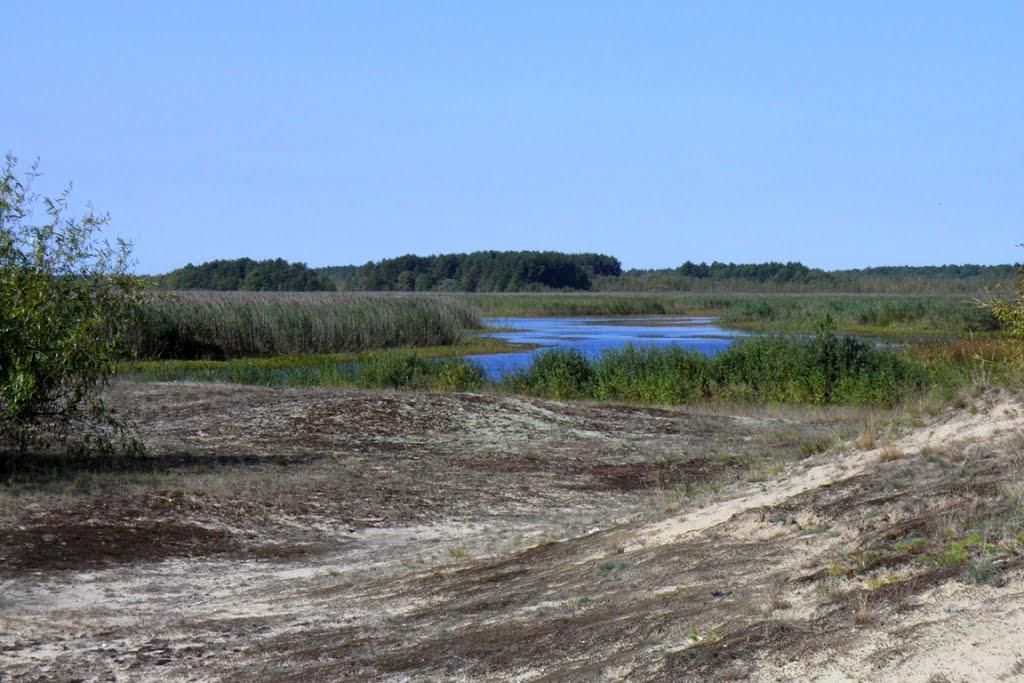 Млин з panoramio.com - Млын