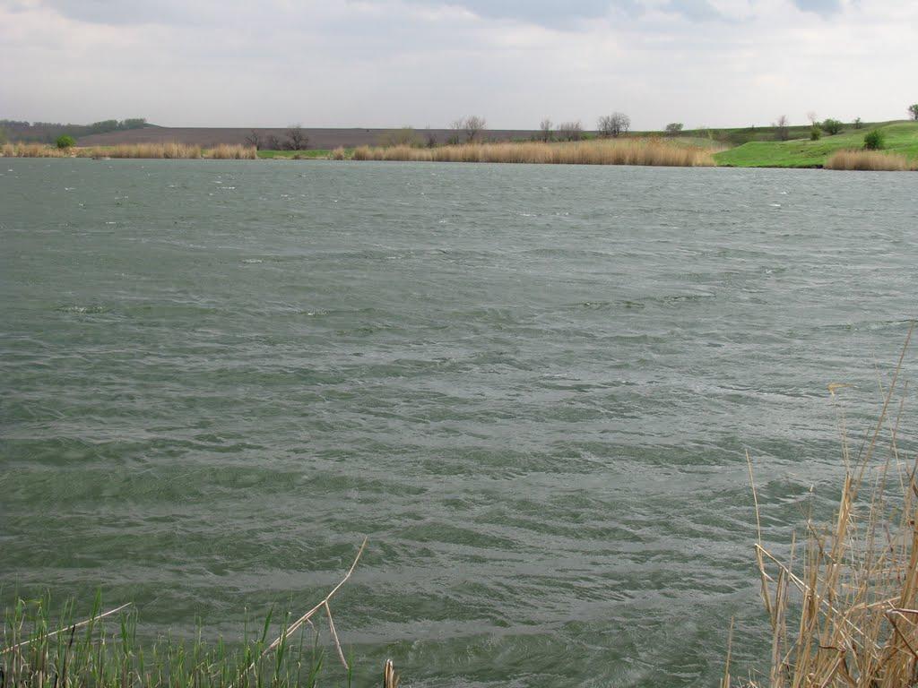 Калинове-Борщувате з panoramio.com - Калинове-Борщувате