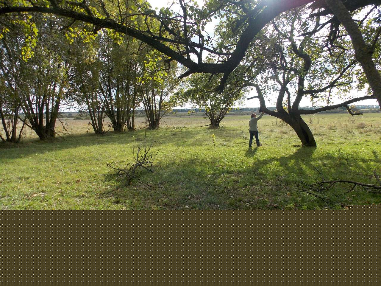 Кугаївці з panoramio.com - Кугаївці