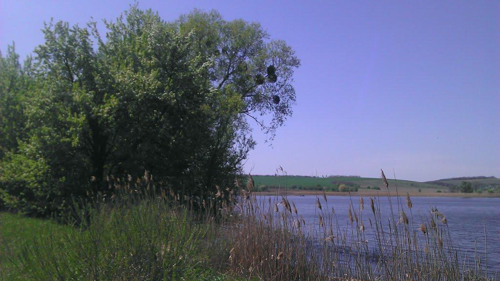 Заріччя з panoramio.com - Заріччя