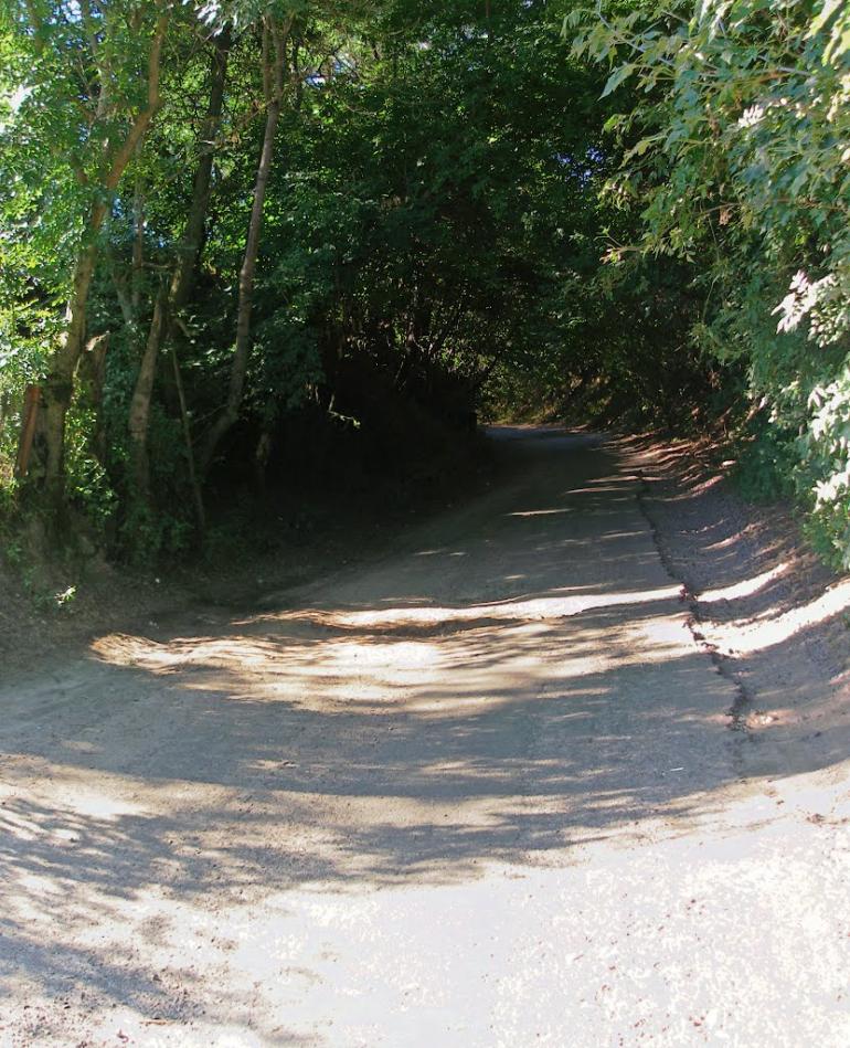 Криве з panoramio.com - Криве