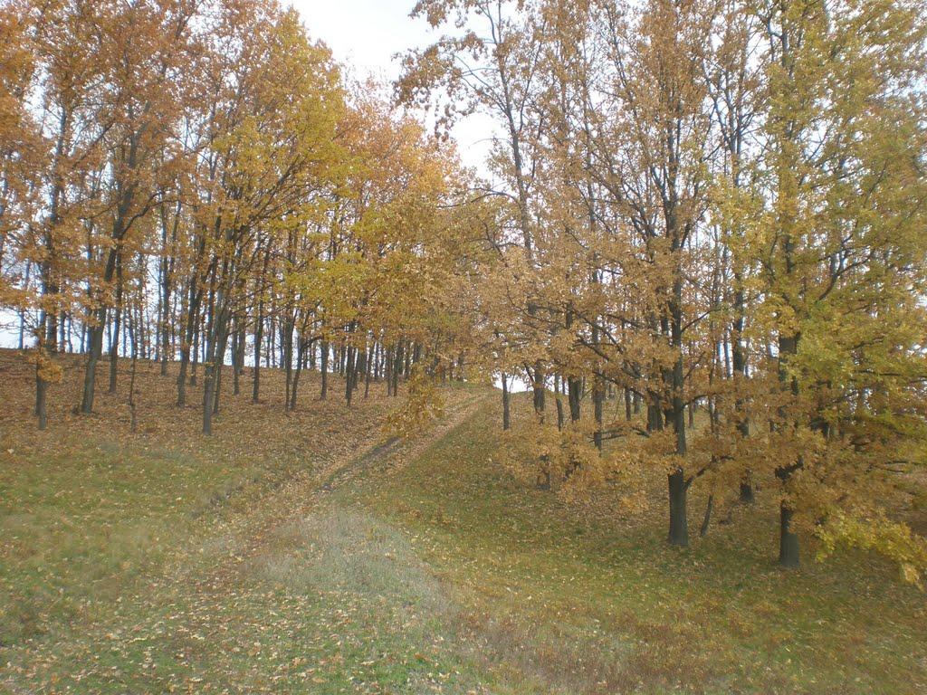 Бабенки з panoramio.com - Бабенки