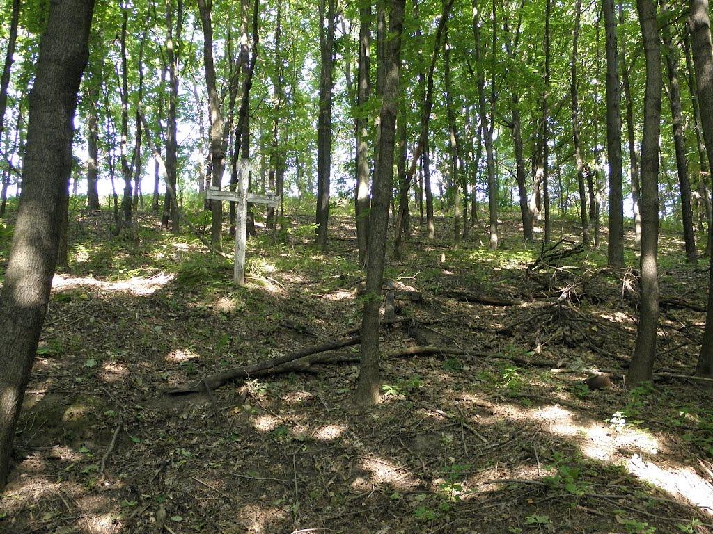 Оріхівщина з panoramio.com - Ореховщина