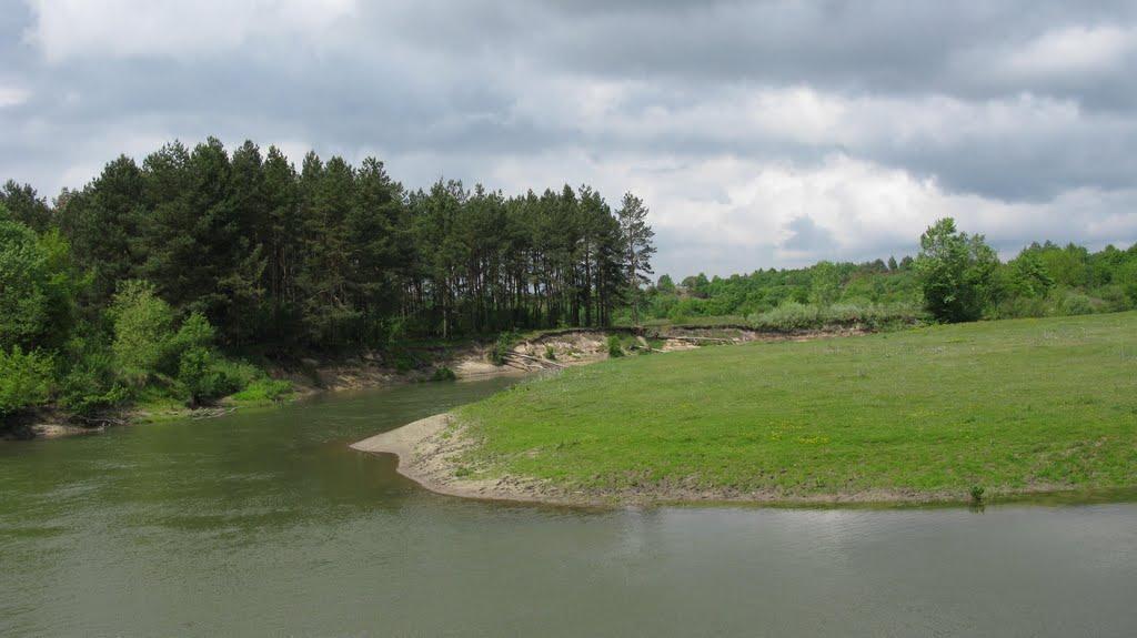 Дуби з panoramio.com - Дуби