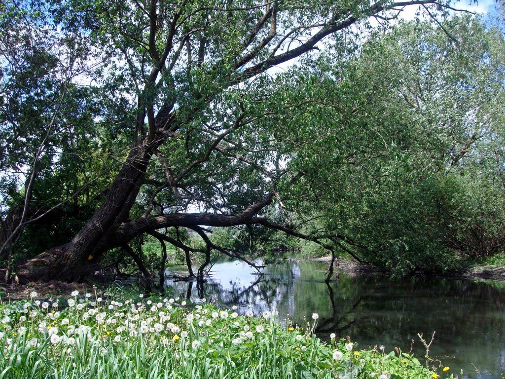 Голосків з panoramio.com - Голосков