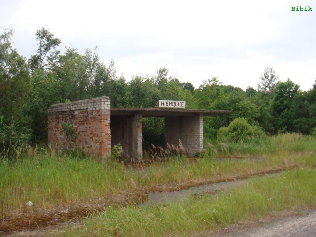 Нівецьке з panoramio.com - Нивецкое