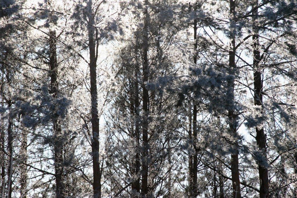 Малий Букрин з panoramio.com - Malyy Bukryn