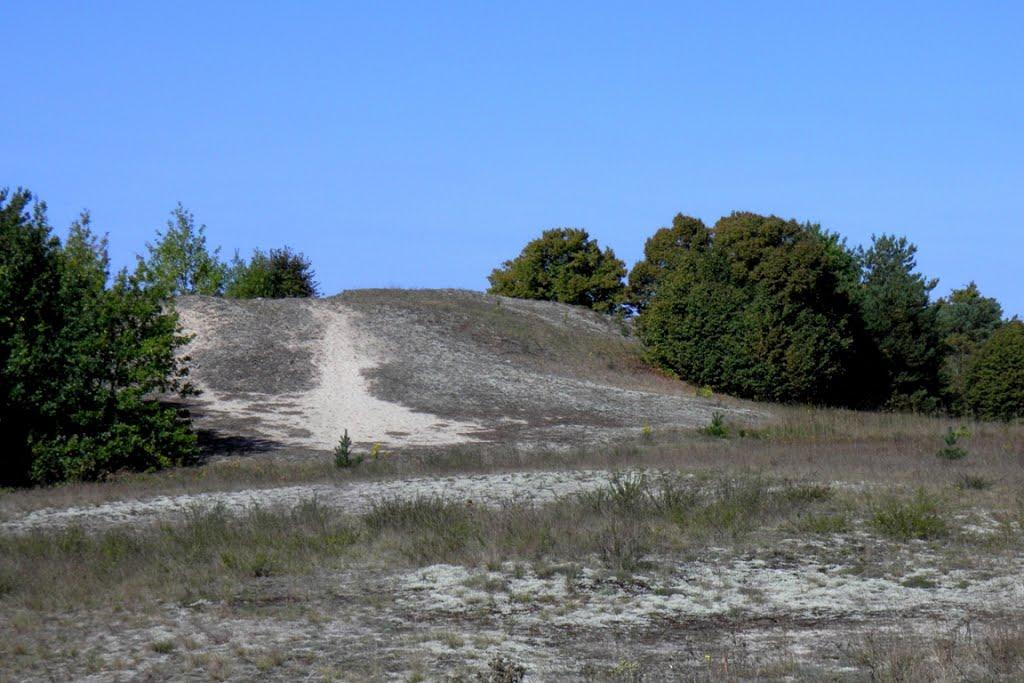 Млин з panoramio.com - Млын