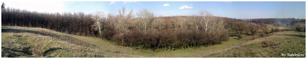Попасна з panoramio.com - Попасная