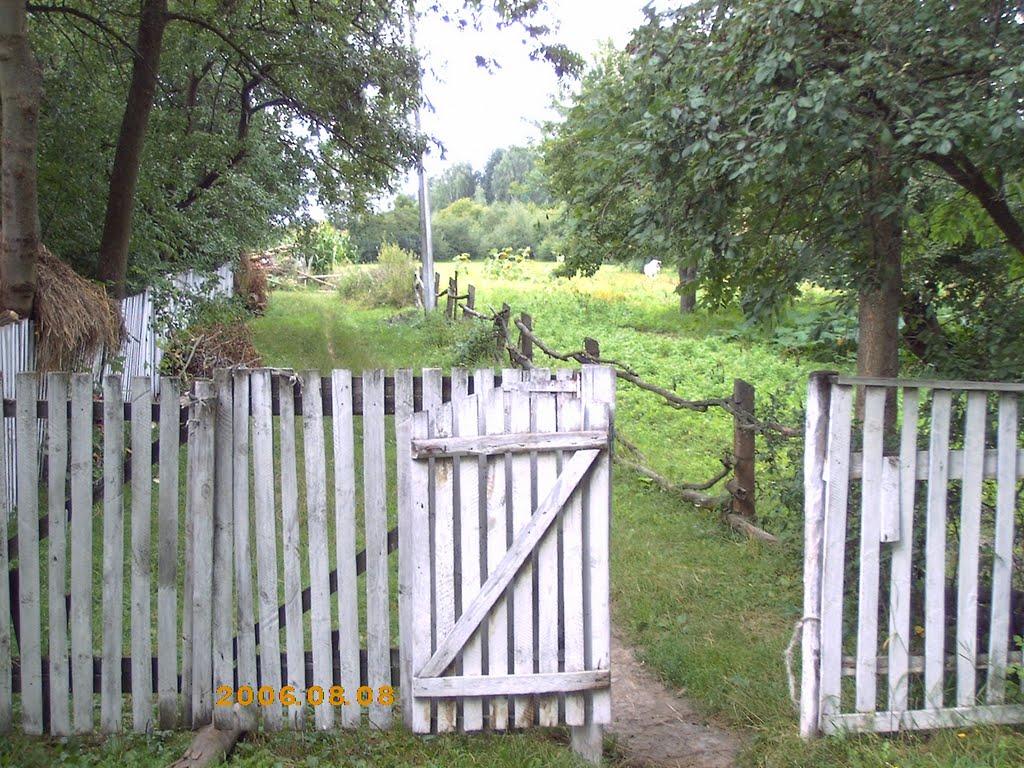 Іванівка з panoramio.com - Іванівка