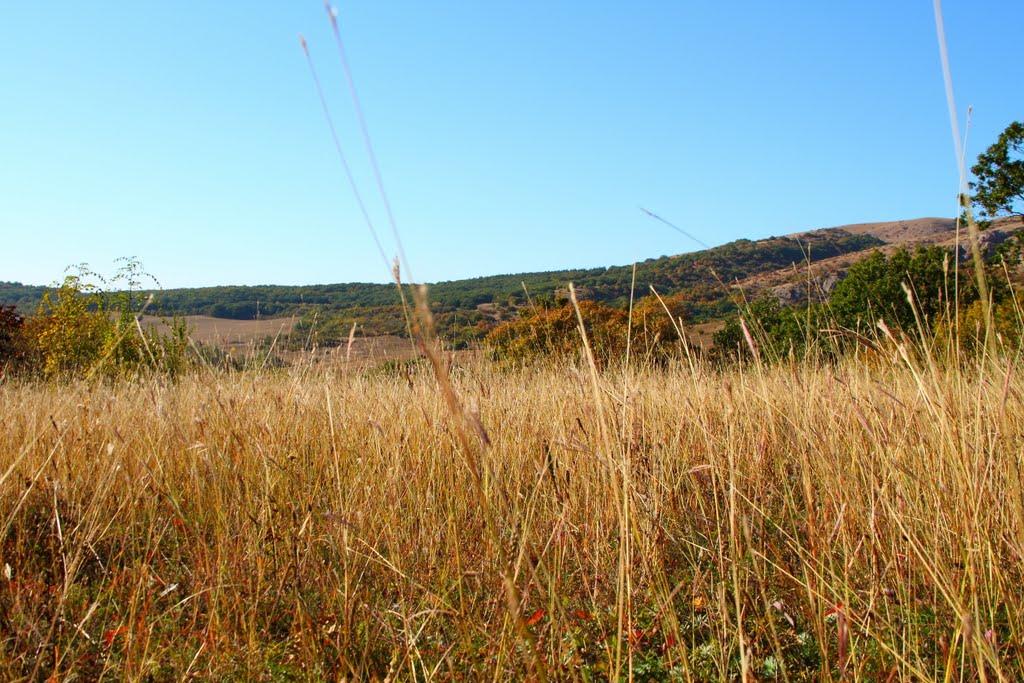 Чайковське з panoramio.com (ч.2) - Чайковское