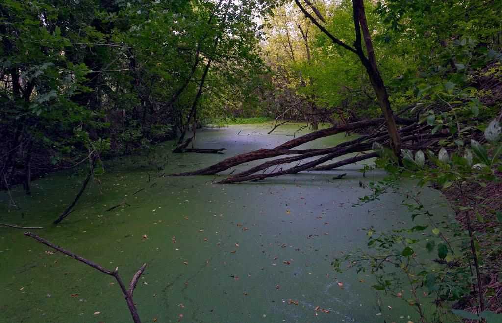 Лелеківка з panoramio.com - Лелеківка