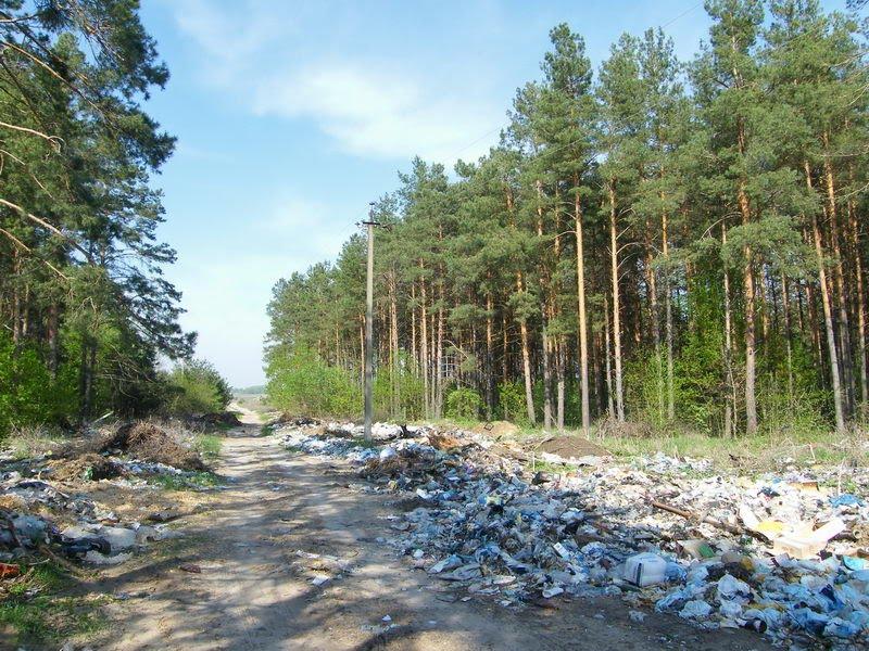 Любеч з panoramio.com - Lyubech