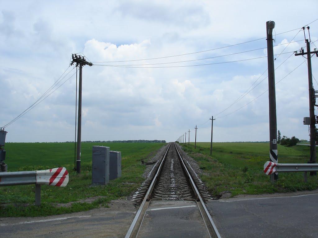 Мічуріне з panoramio.com - Мічуріне